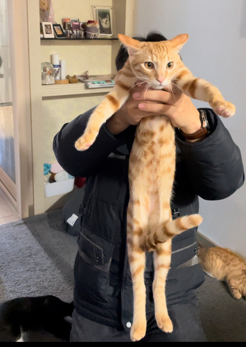 KakaoTalk_20250528_115059492_02