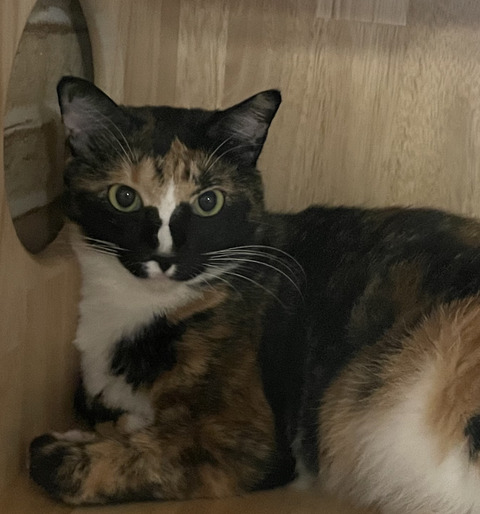 KakaoTalk_20230527_174319540