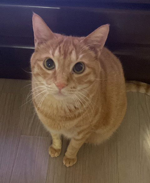 KakaoTalk_20250720_143210793