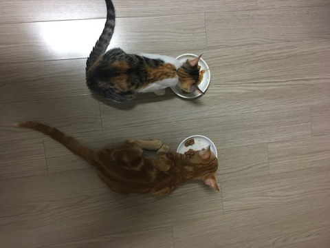 KakaoTalk_20200703_141010206_04