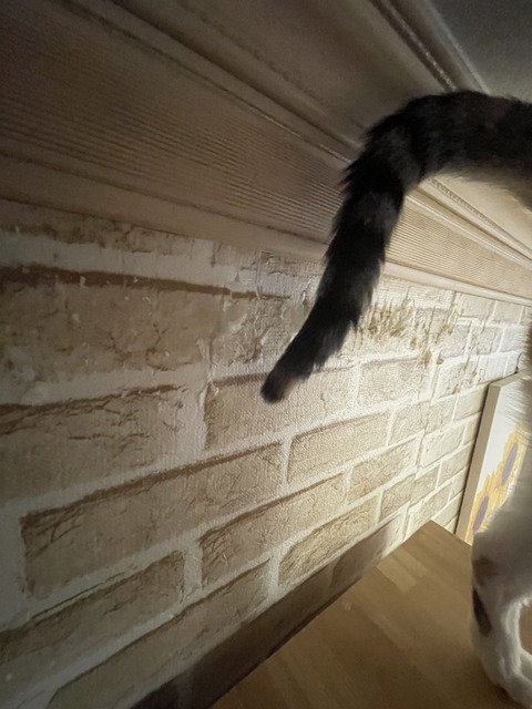 KakaoTalk_20250609_172755642_01