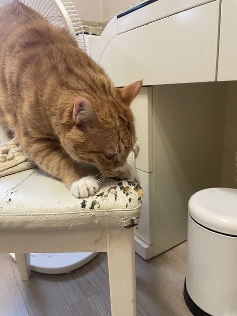 KakaoTalk_20250609_172755642_14