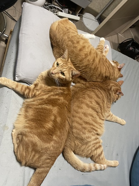 KakaoTalk_20250728_212208855_01