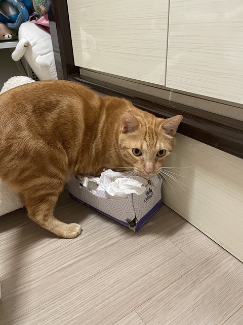 KakaoTalk_20240114_211932136_01