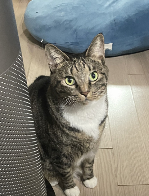 KakaoTalk_20241029_095635623_03