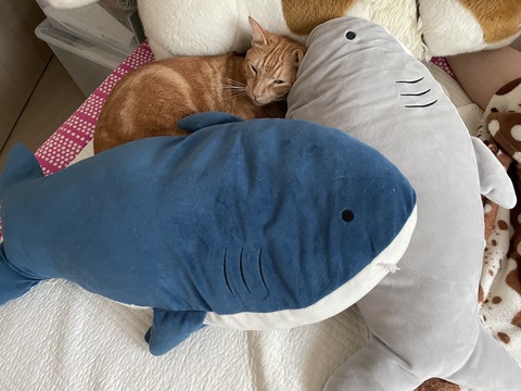 KakaoTalk_20211008_104326773_01 (1)