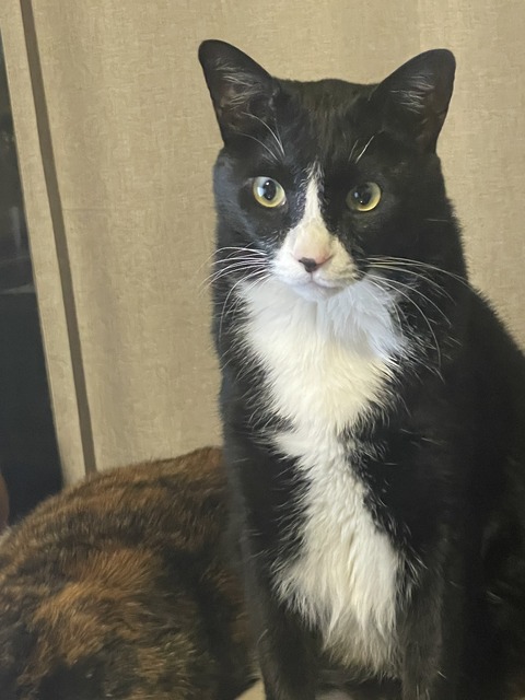 KakaoTalk_20250623_190332588_08