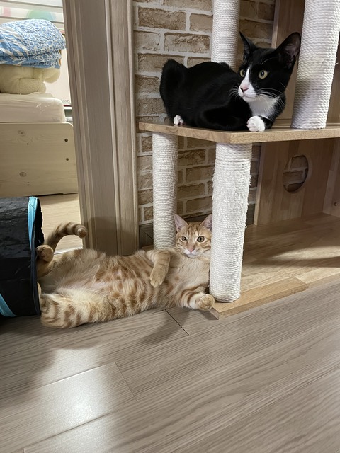 KakaoTalk_20210220_095345461