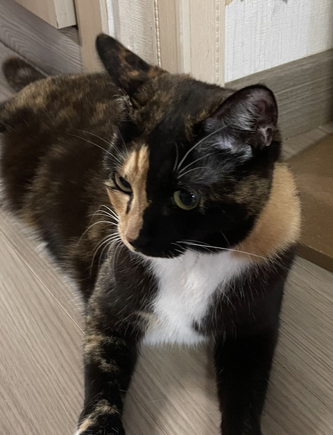 KakaoTalk_20240228_095919102_06