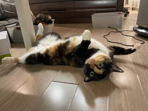 KakaoTalk_20240201_115359978_02