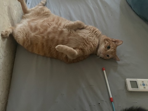 KakaoTalk_20250728_212208855_11