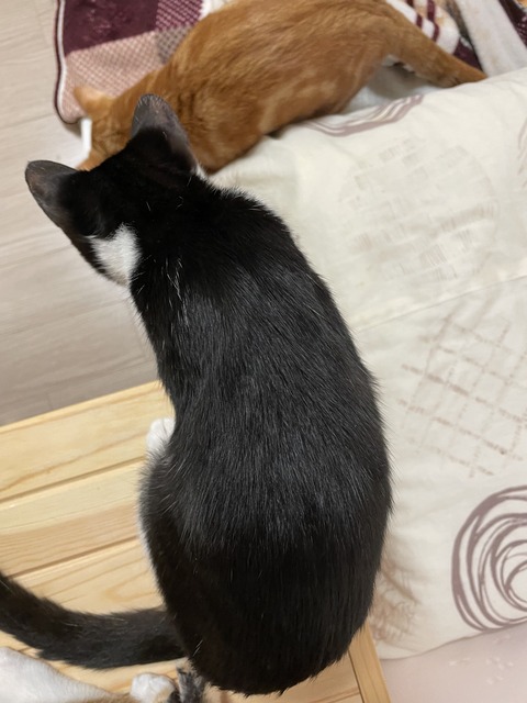 KakaoTalk_20201114_105803743_02