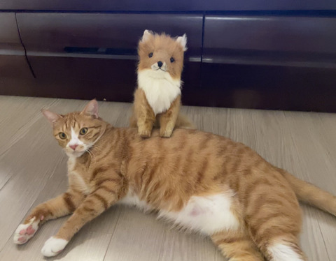 KakaoTalk_20240614_095708295