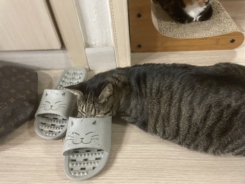 KakaoTalk_20240426_123806807_03