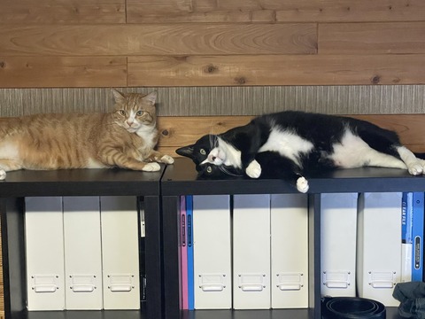 KakaoTalk_20250817_104228530_07