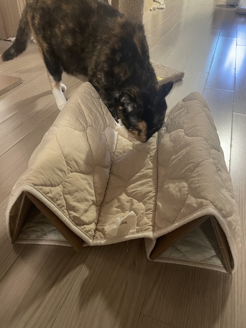 KakaoTalk_20250609_185734204