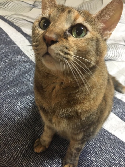 KakaoTalk_20210707_100818221