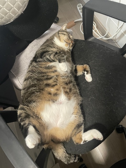 KakaoTalk_20250506_102945816