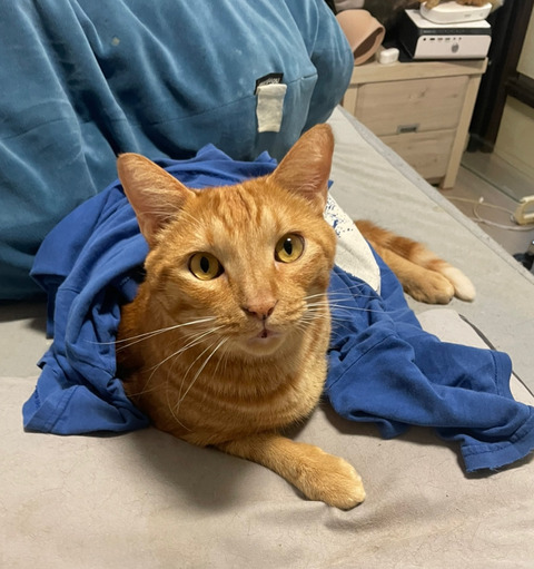 KakaoTalk_20250817_112451495