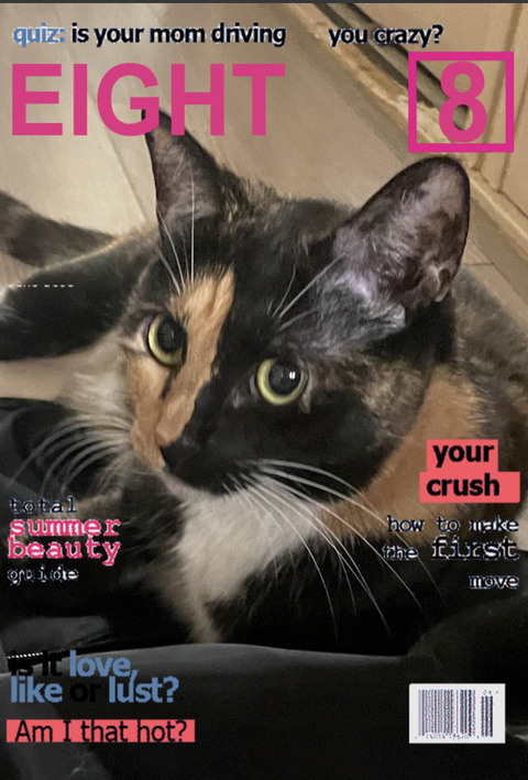 KakaoTalk_20240816_112351163_02