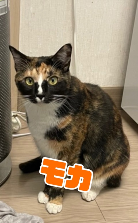 KakaoTalk_20221114_135217180_03