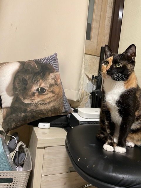 KakaoTalk_20250523_224206178