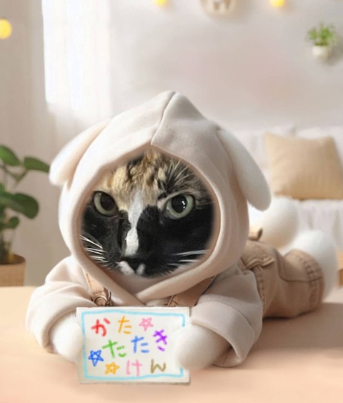 KakaoTalk_20240619_090850318_04