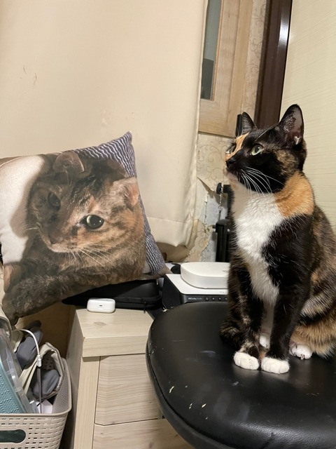 KakaoTalk_20250523_224206178_01