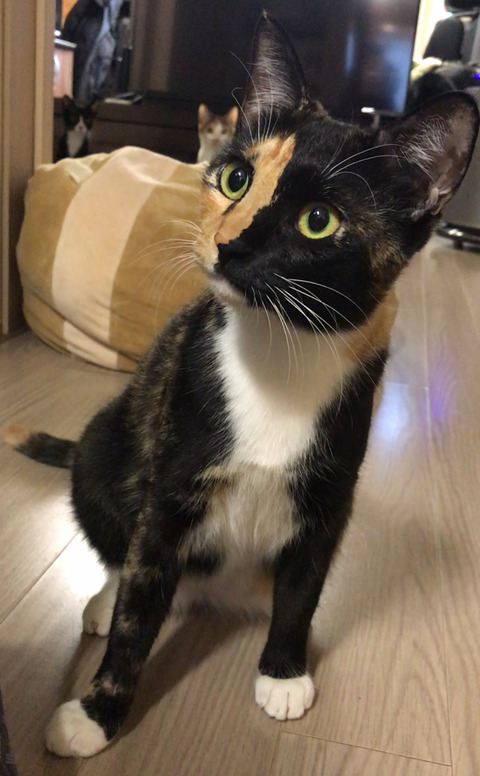 KakaoTalk_20250907_210211600