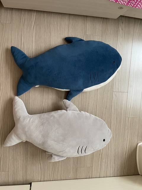 KakaoTalk_20211008_104326773_02 (1)