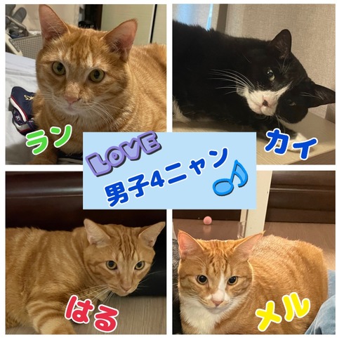KakaoTalk_20240926_153727910