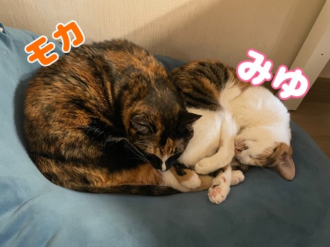 KakaoTalk_20240127_124043221