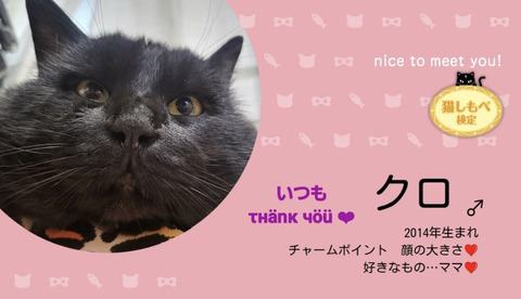 KakaoTalk_20240619_092759701