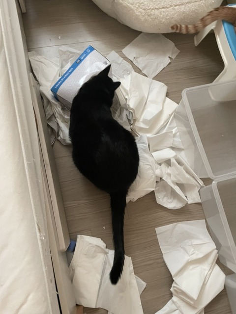 KakaoTalk_20231006_120000960