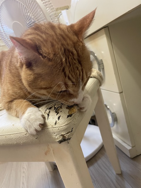 KakaoTalk_20250609_172755642_21