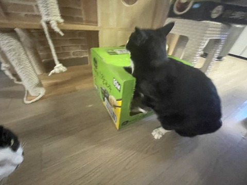 KakaoTalk_20240614_095539383_06
