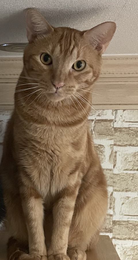 KakaoTalk_20250907_123224147