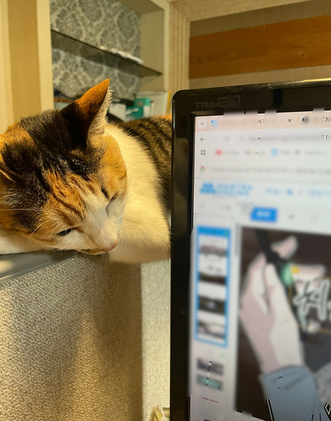 KakaoTalk_20250402_110945946_01