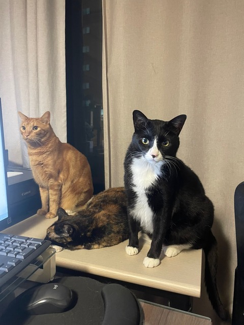 KakaoTalk_20250623_190332588_05