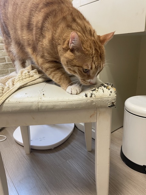 KakaoTalk_20250609_172755642_13