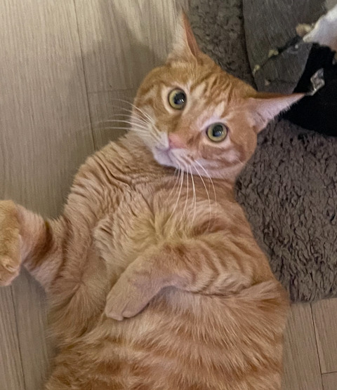 KakaoTalk_20250430_084945912_07