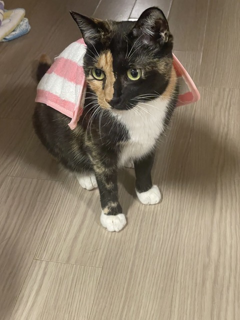 KakaoTalk_20250907_122227777