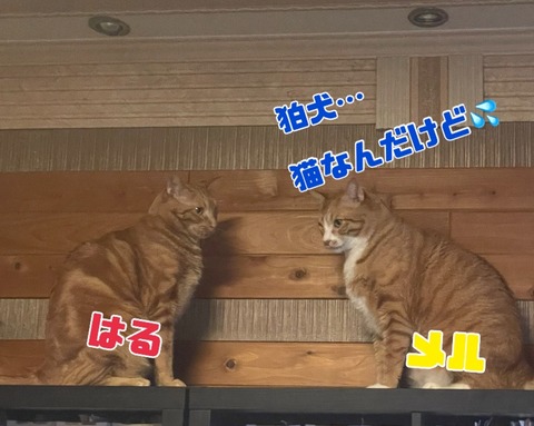 KakaoTalk_20250506_120248467