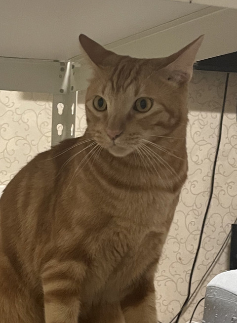 KakaoTalk_20231130_204521073