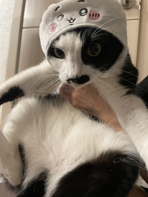KakaoTalk_20240122_163146953_19