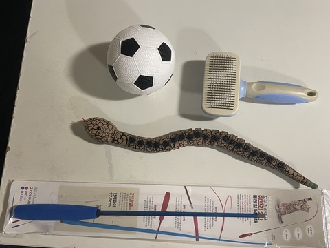 KakaoTalk_20250721_092724164_01