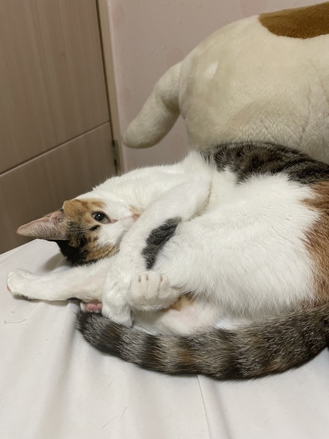 KakaoTalk_20231216_160839680