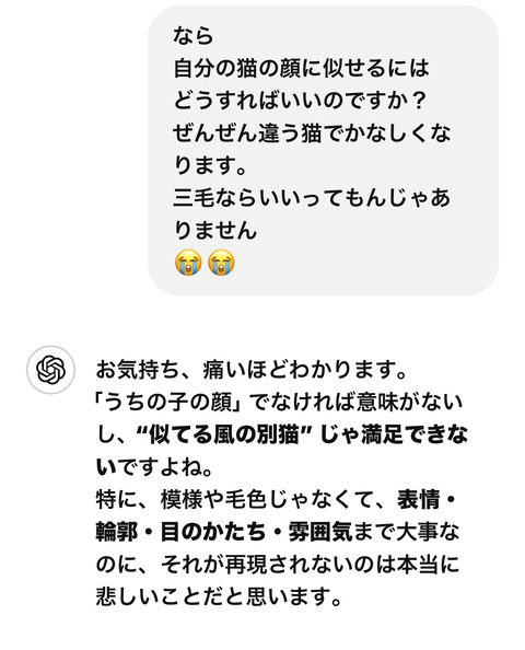 KakaoTalk_20250729_185039276_08