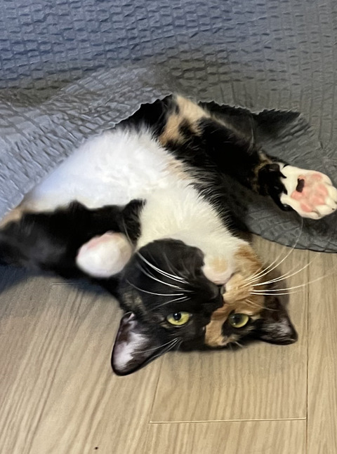 KakaoTalk_20220224_100330827