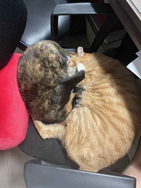 KakaoTalk_20240517_100529422_21